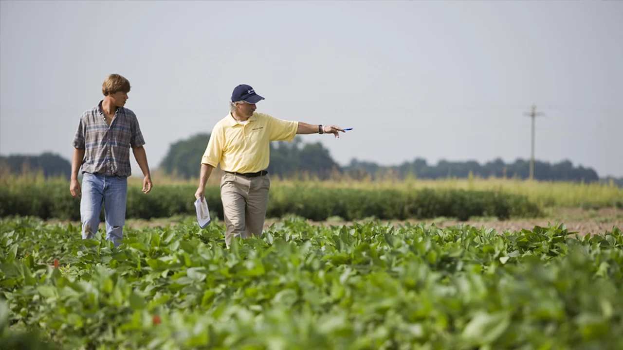 Banco Galicia otorga un préstamo con garantía de warrant a través de una agtech