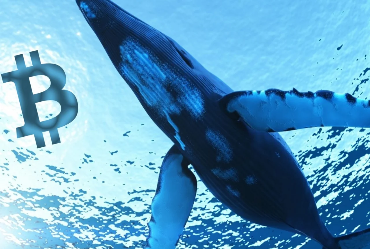 Las ballenas Bitcoin se activan y rememoran el mejor año