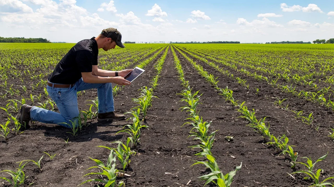 No se dice soja, es SOYA: así es el plan revolucionario ideado para digitalizar al campo argentino