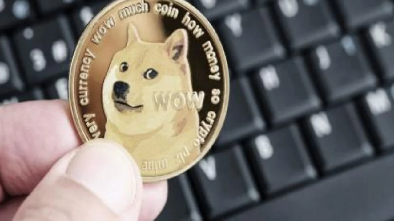 Preocupación por la caída de la memecoin preferida de Elon Musk: ¿oportunidad para entrar batato?
