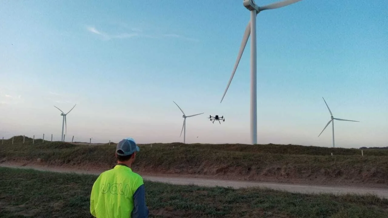 Paso a paso: cómo pueden las empresas involucrarse en la lucha contra el cambio climático