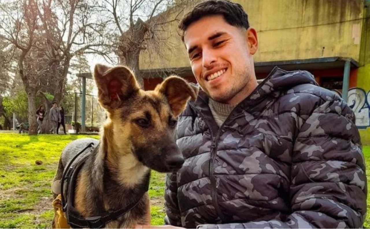 MyPets: así es la app para encontrar mascotas perdidas que es furor y busca llegar a otros países en 2024