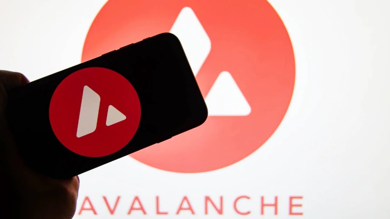 Sigue la carrera de las altcoins: ahora presentan un ETF basado en AVAX, la criptomoneda de Avalanche