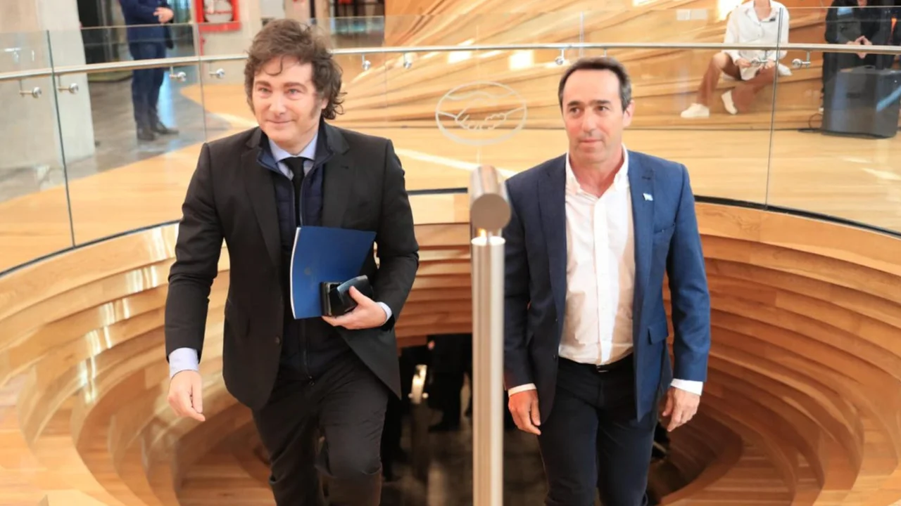 Galperin festeja como nadie la era Milei: los datos reveladores de Mercado Libre y su balance