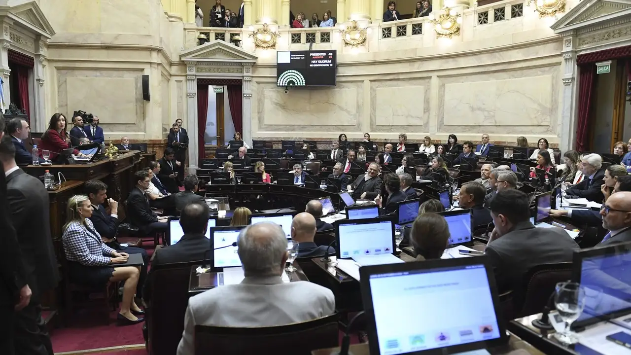 senado