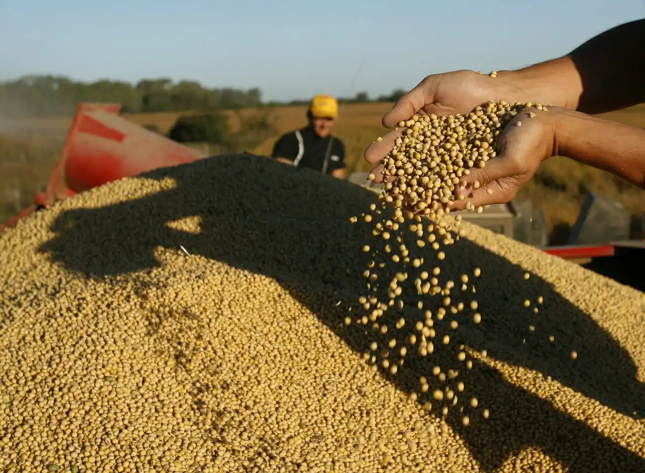 Microsoft apoya una aplicación argentina para reducir el impacto ambiental
