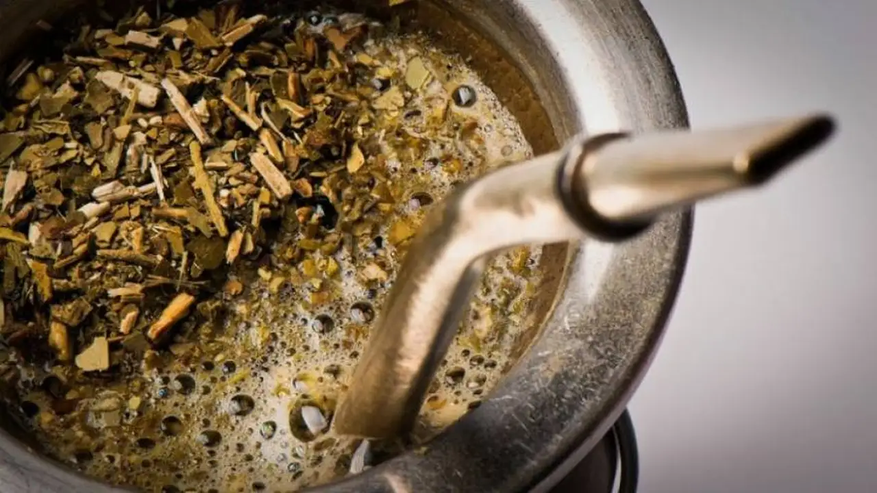 El mate ayuda a prevenir el Parkinson, según un estudio