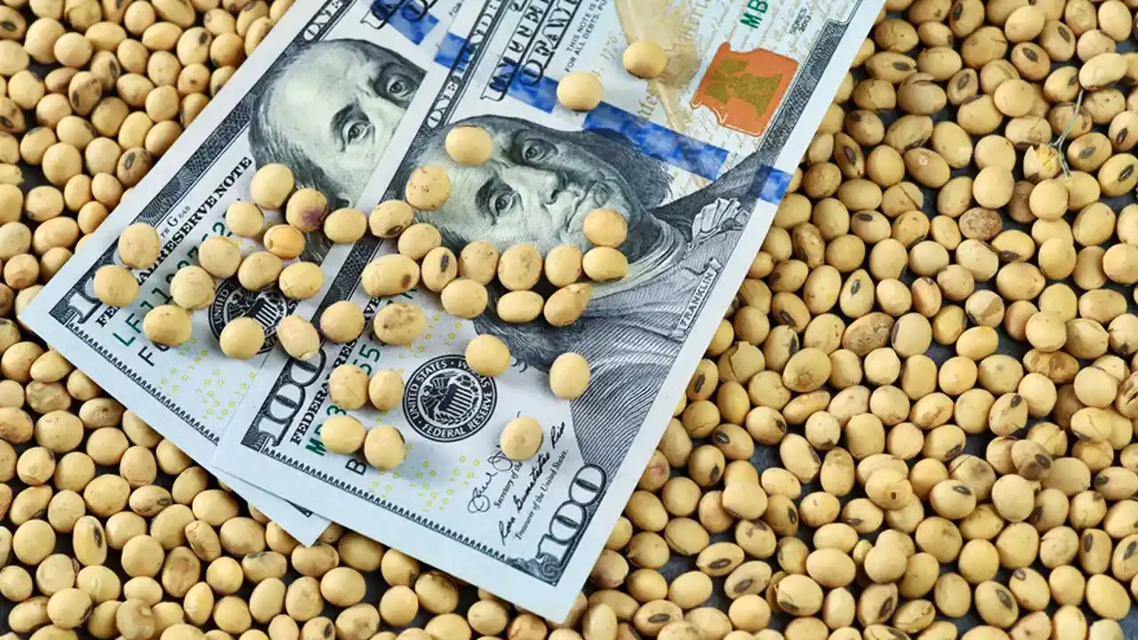 Los dueños de la soja: el ranking de agroexportadores está copado por trasnacionales y con un "tapado" como líder