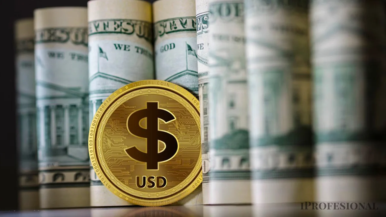 Miles invirtieron ahorros en criptomoneda y temen que sea una estafa piramidal