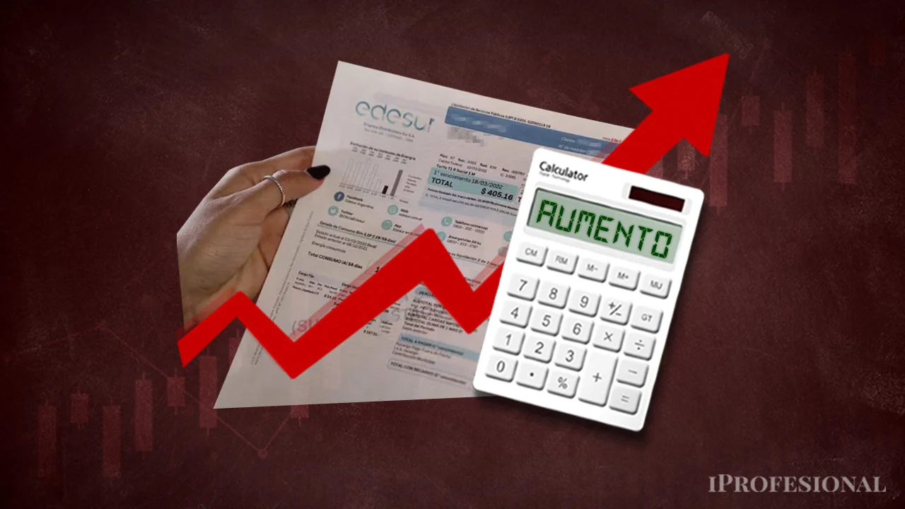 El Gobierno reveló cómo será el esquema de subsidios que implementará para las tarifas de luz y gas