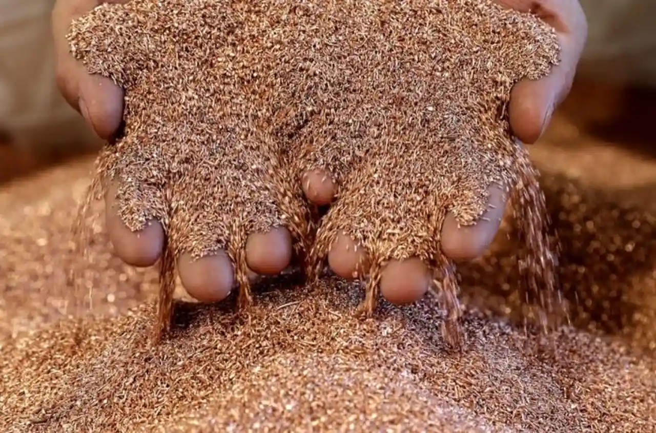 Argentina apunta a ser potencia en cobre: aprobaron el primer RIGI por u$s2.700 millones