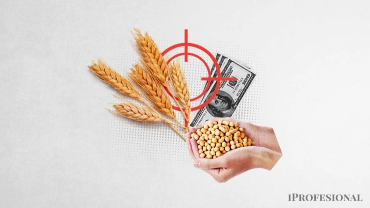 La liquidación de agro exportadores subió 32% en abril en forma interanual