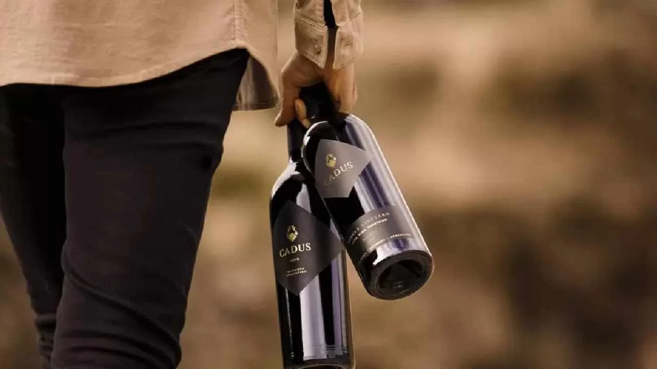 Un vino de Cadus, reconocido por Decanter entre los 10 mejores Malbec de Argentina