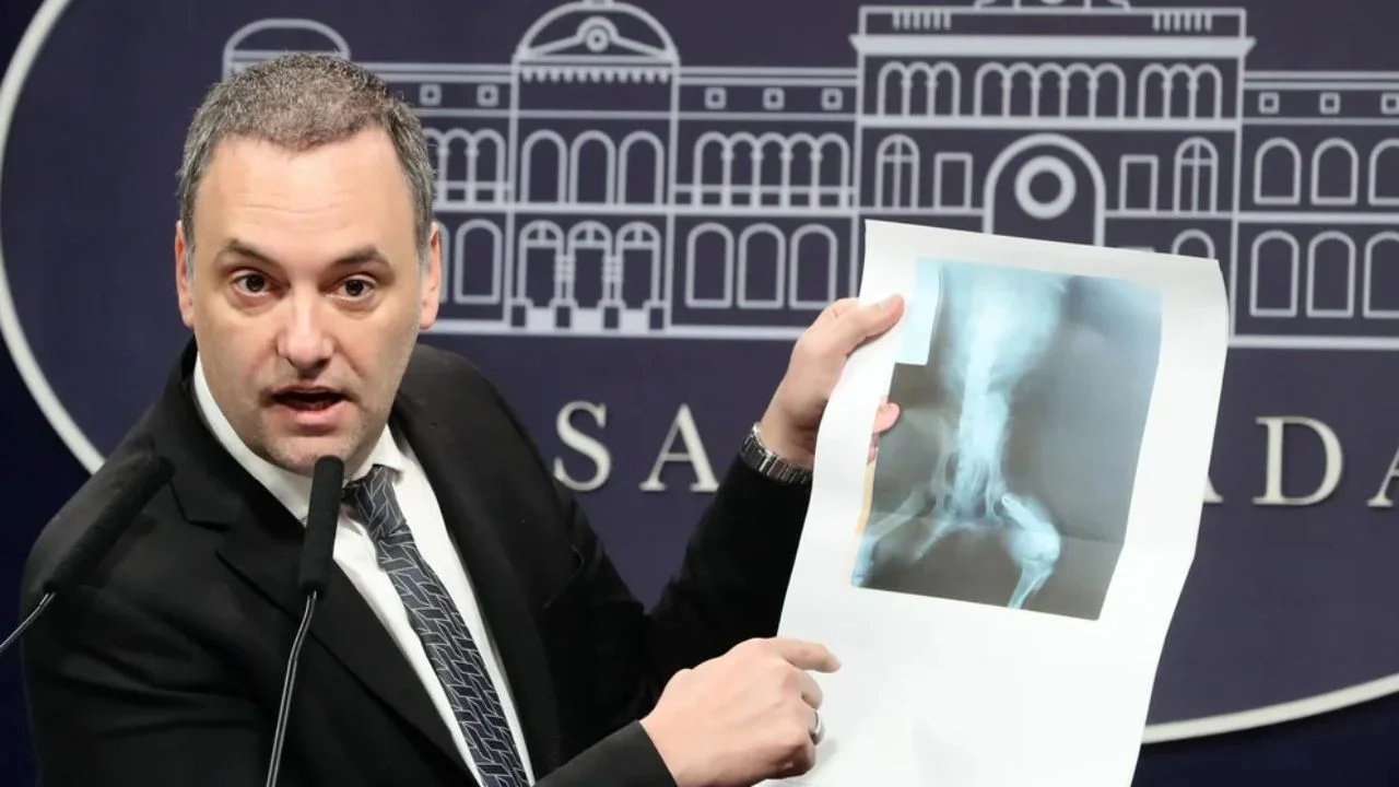 El insólito caso de la radiografía de un perro que se usó para obtener una pensión