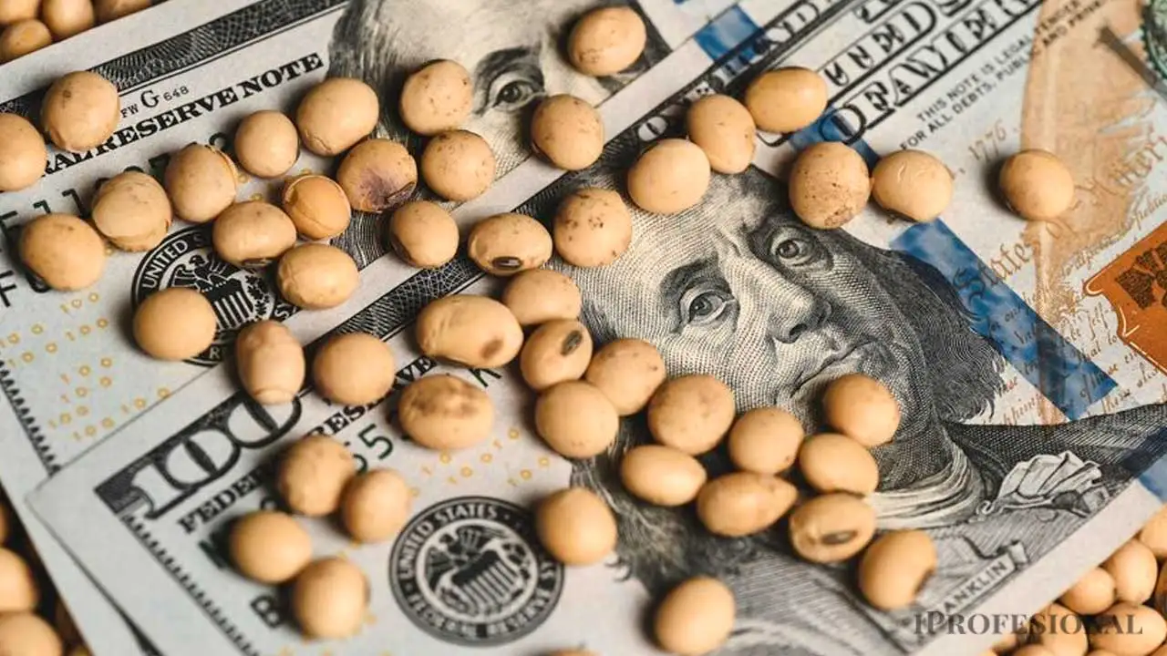 Paradoja de Milei post cepo: si sigue bajando el dólar, ¿el campo "encanutará" la cosecha?