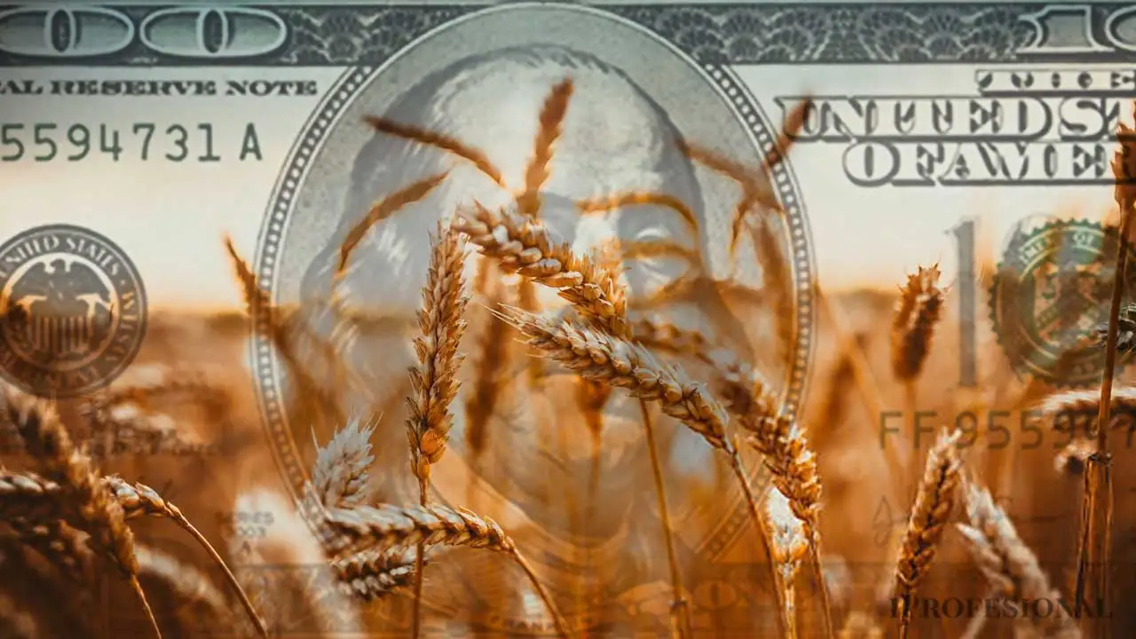 La liquidación del campo sumó u$s3.700 millones y se vienen tres semanas decisivas para el dólar