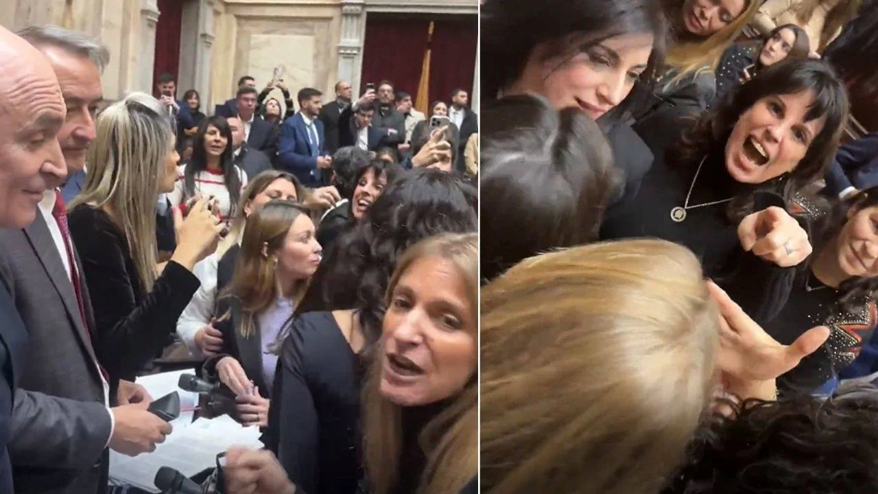 "Cagón, psicópata": diputadas kirchneristas insultaron a Espert y casi terminan a las piñas con Santillán