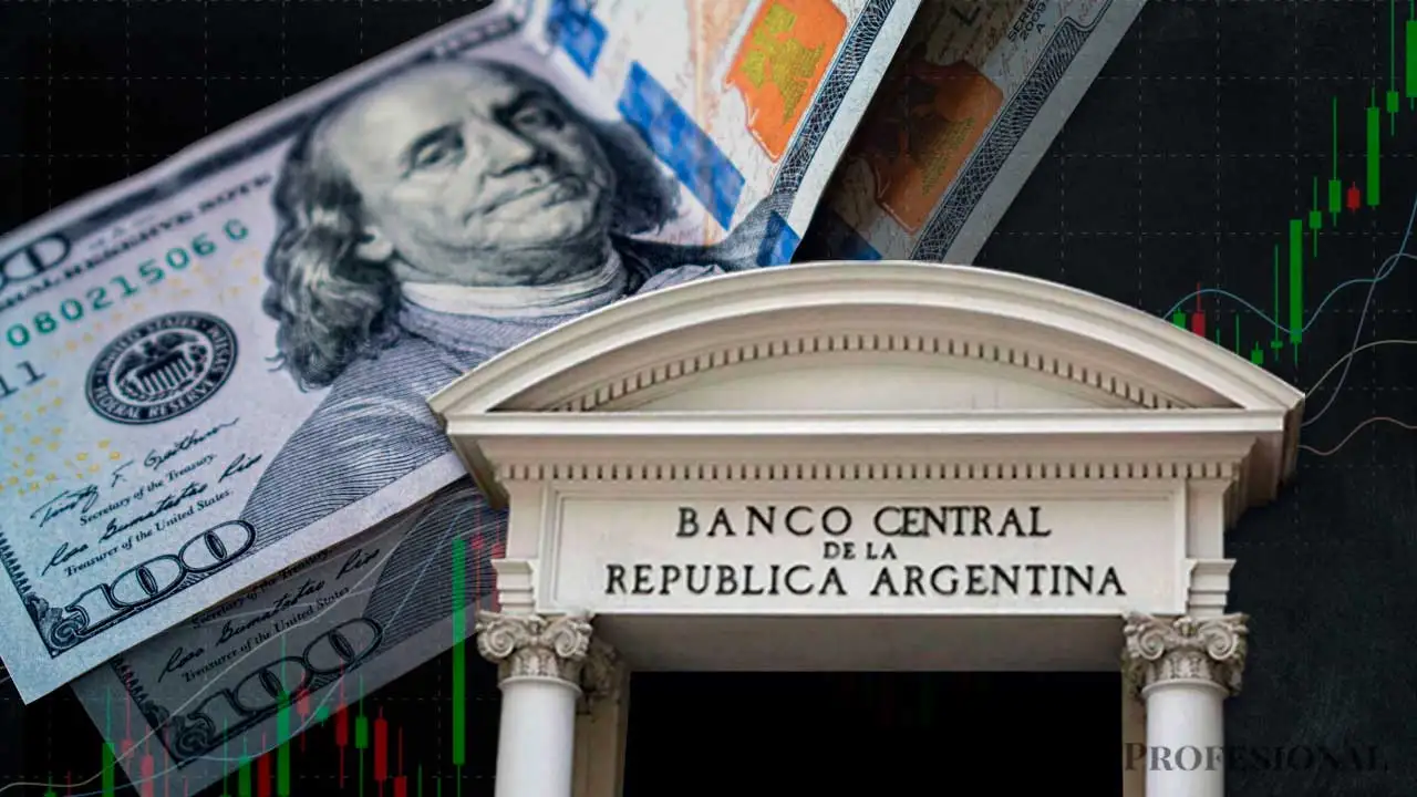Cinco días sin bancos: el BCRA confirmó los feriados que restan en 2025 - Image 2