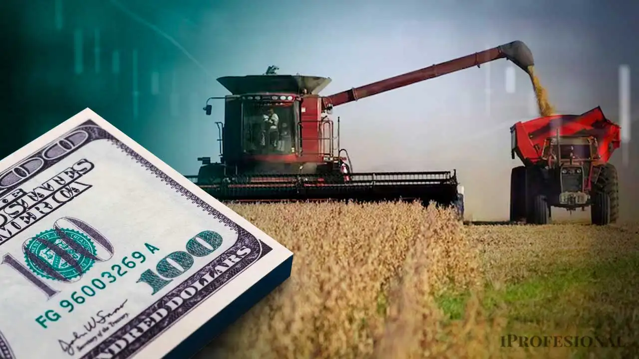 El nuevo "oro verde": la inversión en la economía real que recomiendan expertos