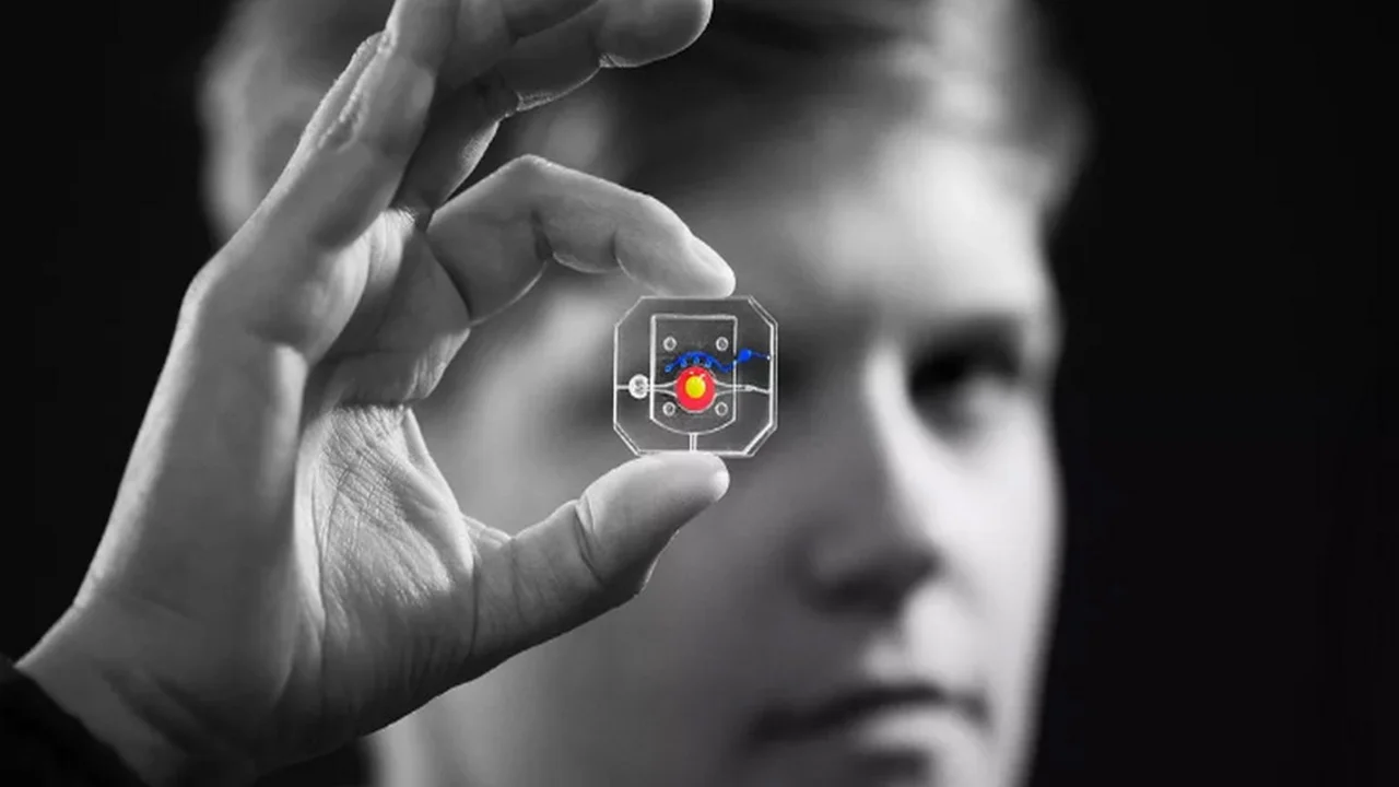 Neuralink, de Elon Musk, tiene competencia: una startup avanza con su propio chip cerebral en humanos