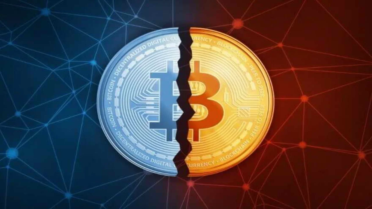 Argentina: auge en la adopción de Bitcoin y preparativos para el halving 2024