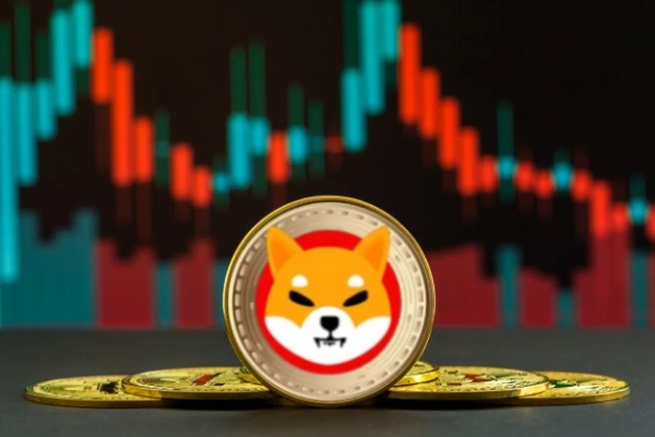 Shiba Inu, otra de las criptomonedas ganadoras del momento: ¿por qué se disparó un 1.000%?