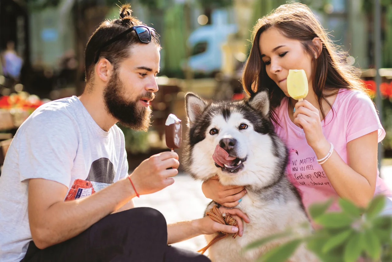 Mucho más que envases: Tetra Pak y su compromiso con la innovación en la industria del helado