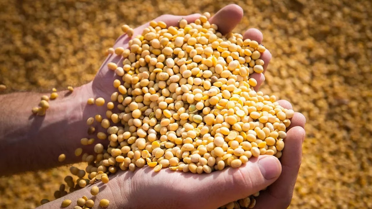 Soja: quedan 21,38 millones de toneladas sin comercializar y valen u$s10.905 millones
