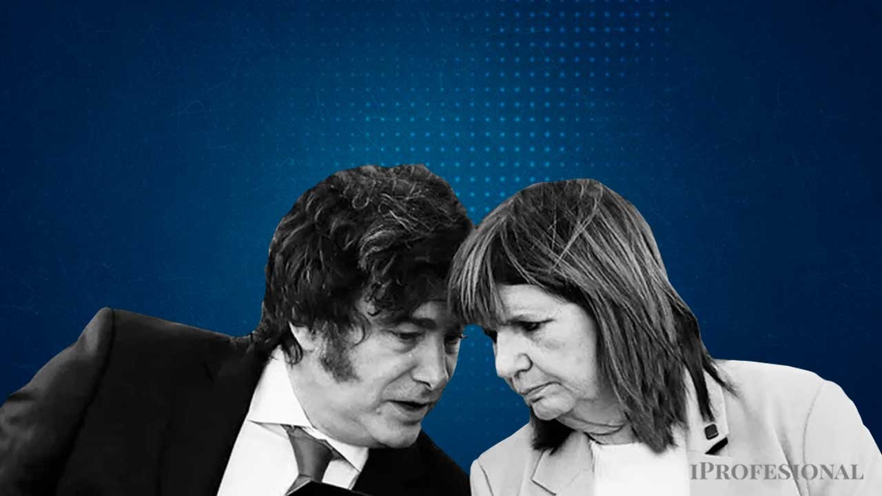 Bullrich acept� la propuesta de Milei de ser candidata a vice pero puso condiciones