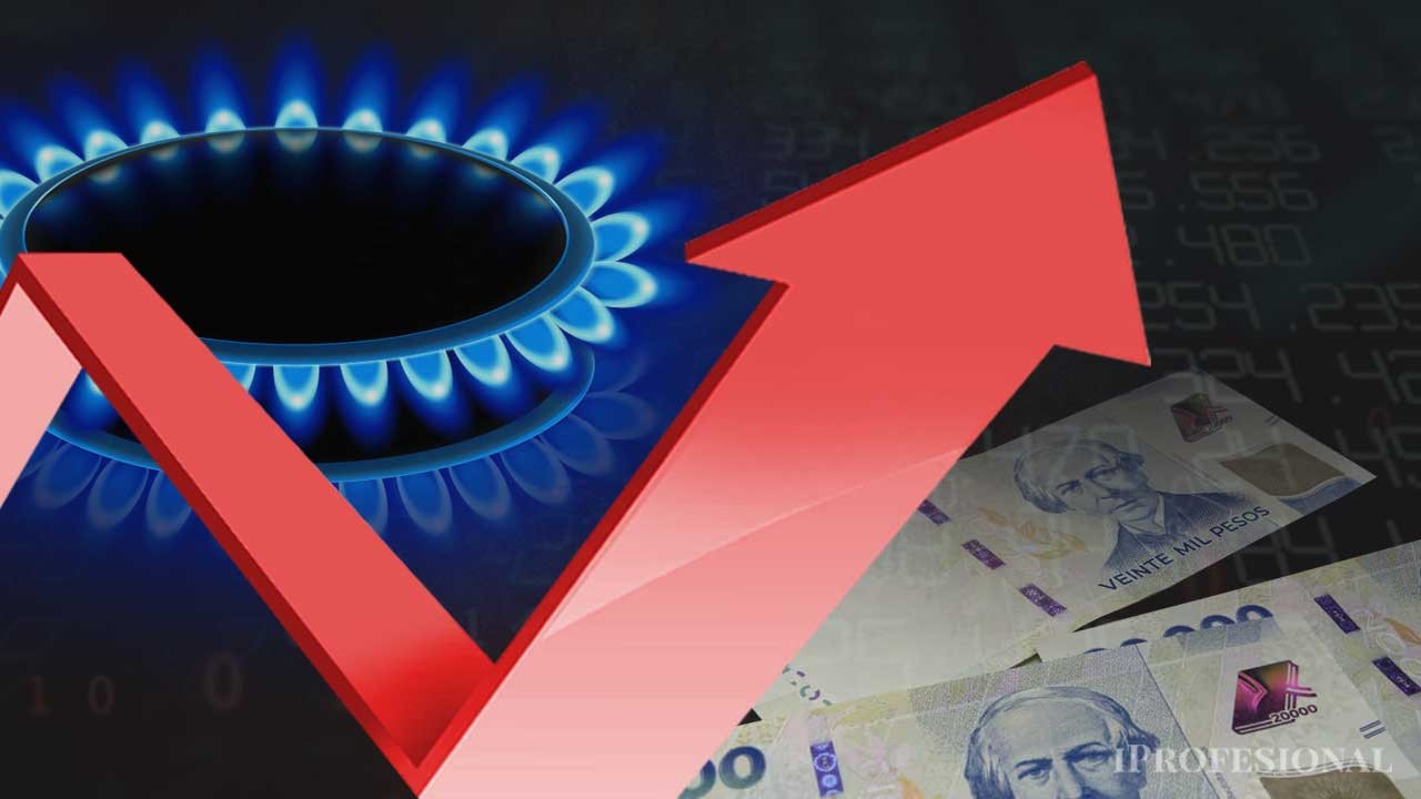 El Gobierno logr� la ley que recorta subsidios al gas: qui�nes lo perder�n y qui�nes no
