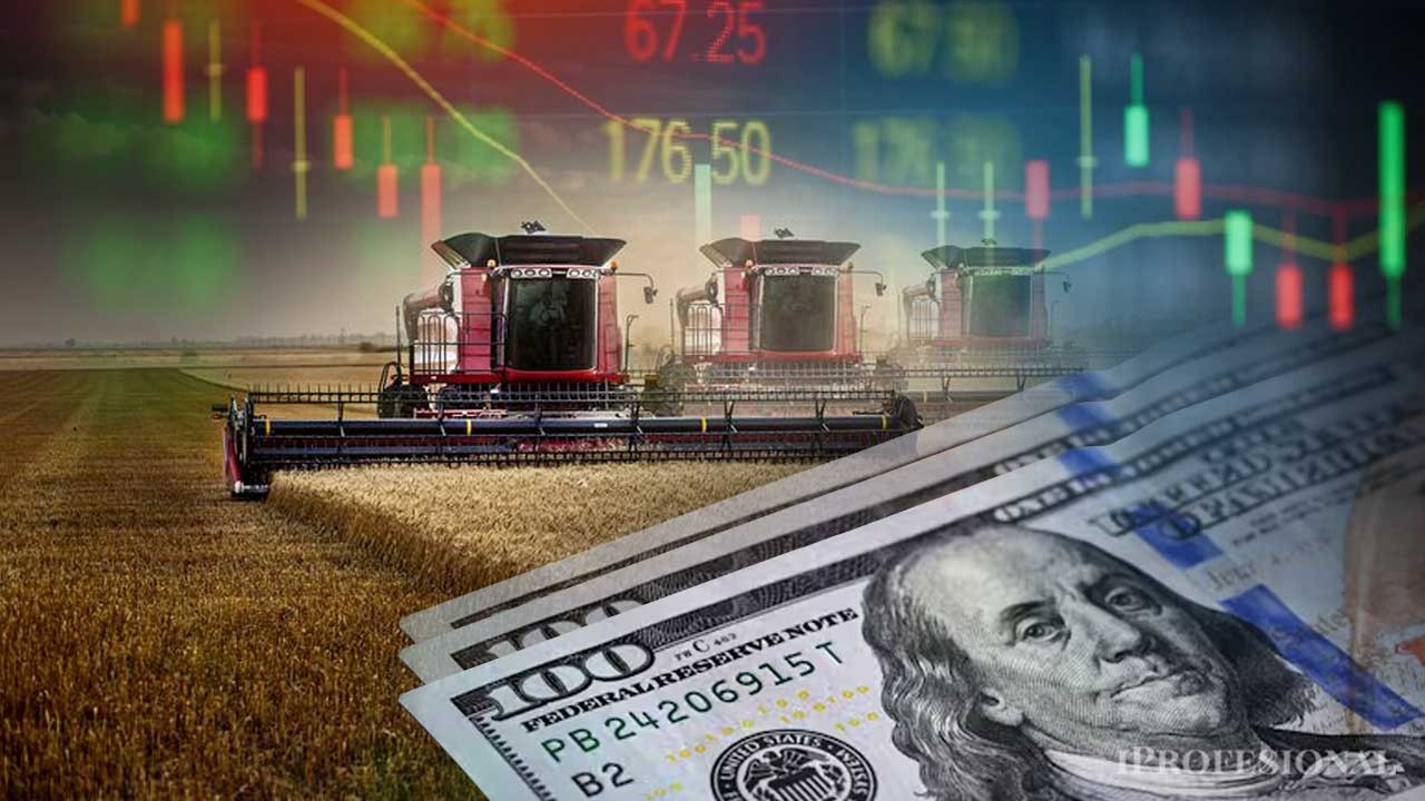 Citi y UBS anticipan boom agr�cola para Argentina por El Ni�o, con m�s cosecha y d�lares
