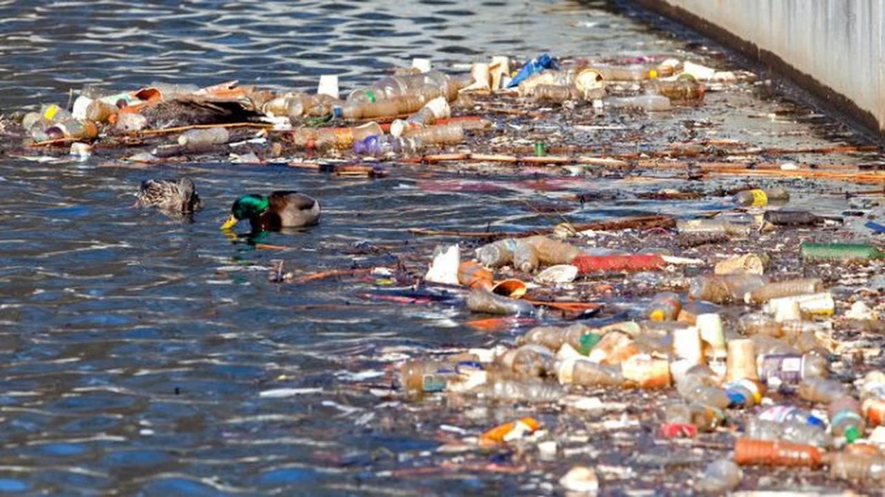 tabla de causas de la contaminacion del agua