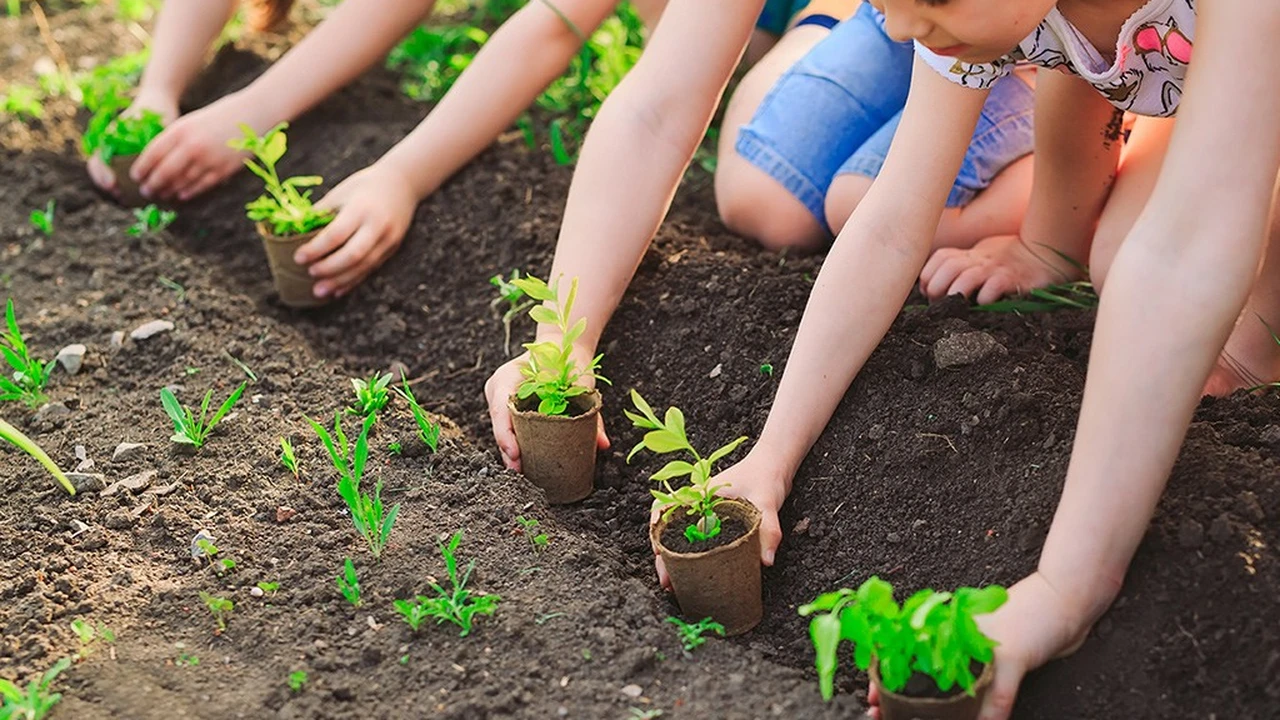 cuidar-medioambiente