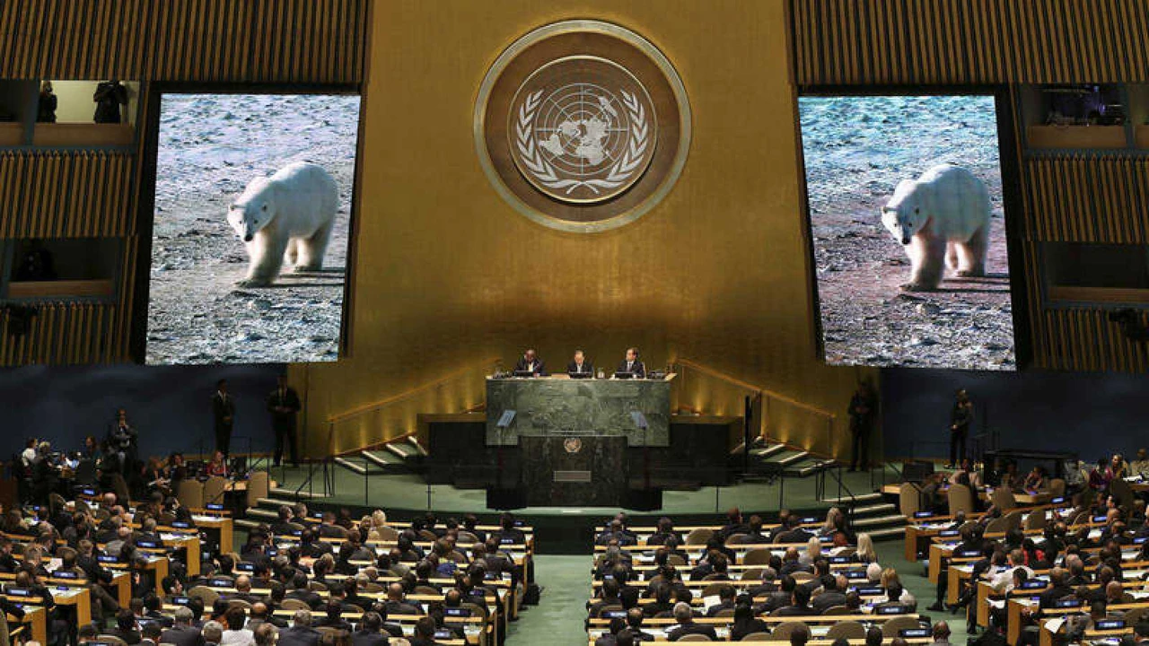 ONU creó un cargo para la protección de los derechos humanos frente al ...