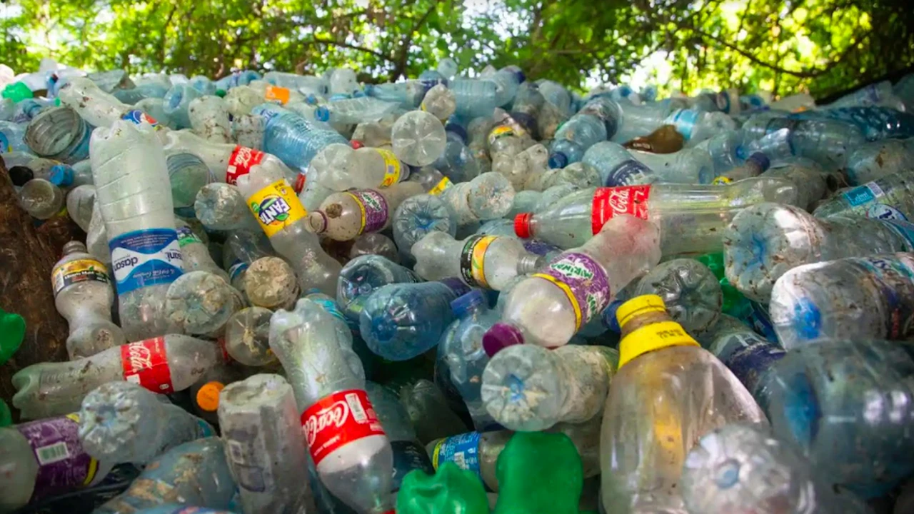 Qué es desplastificar y por qué frenaría la contaminación ambiental, image size:1280x720