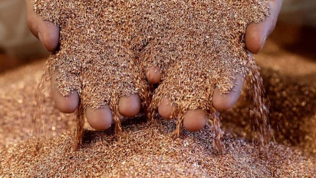Qué es la Mesa del Cobre y qué provincias son parte en Argentina