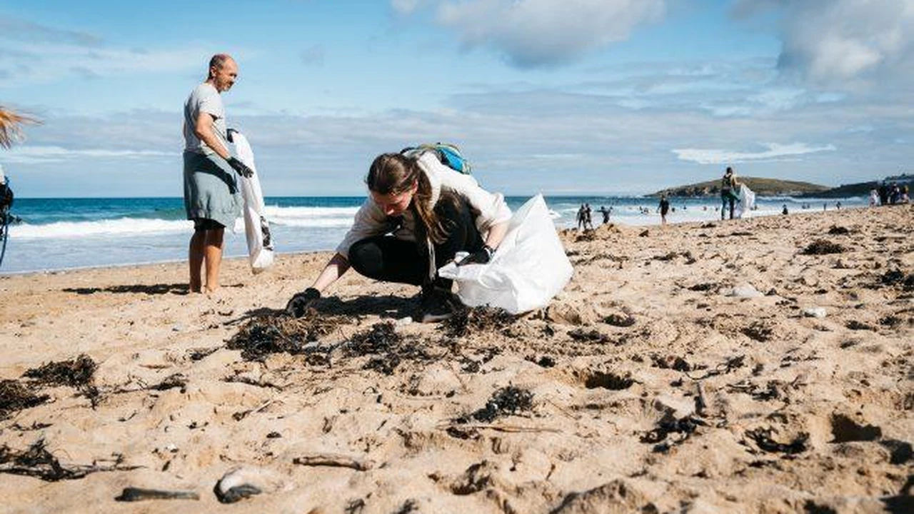 Así lograron recolectan más de 10 toneladas de residuos en las playas ...