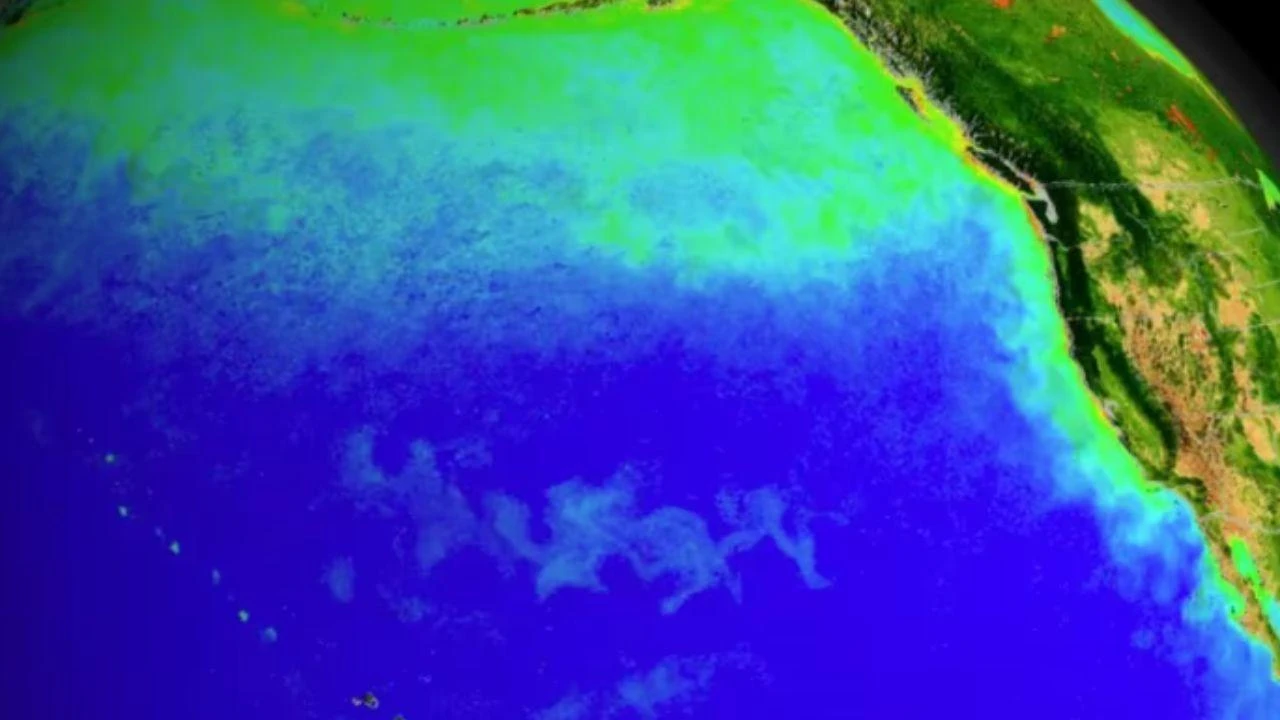 Advierten que la corriente océanica del Atlántico podría colapsar para 2057