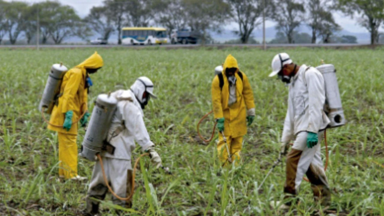 El Estado deberá garantizar agua potable por los agroquímicos