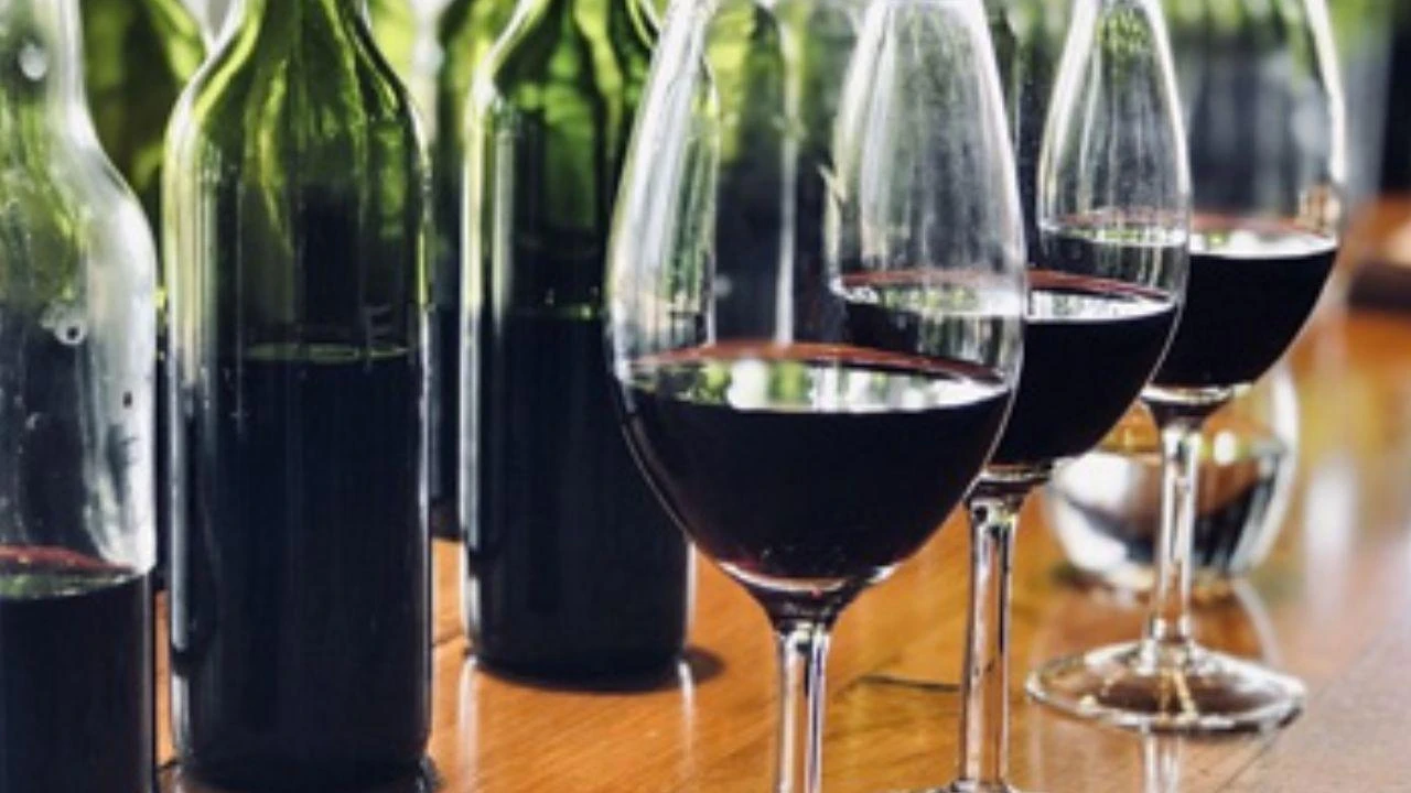 ¿Un vino turbio es más sano? La revolución que impulsa la sustentabilidad en las bodegas