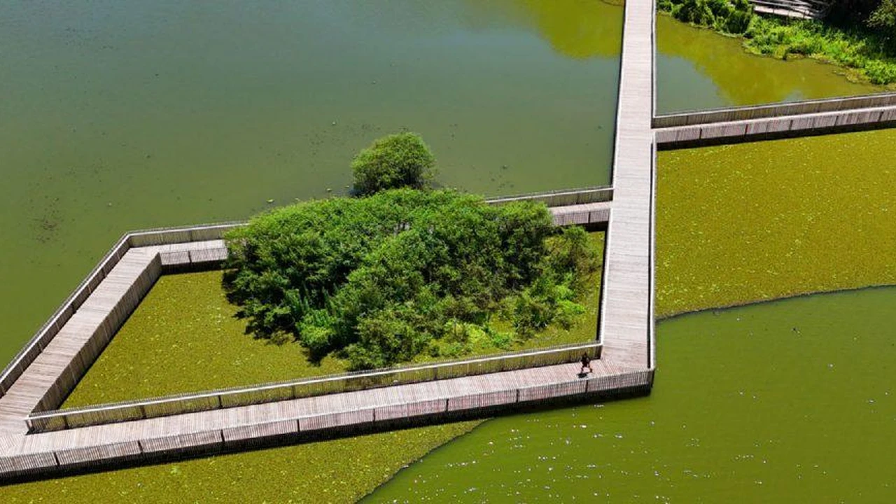 CABA abrirá 14 hectáreas de la Reserva Ecológica Costanera Sur