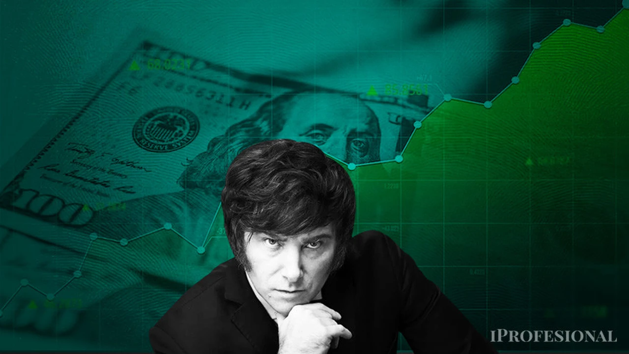 Canasta de monedas el paso previo a la dolarización de Javier Milei