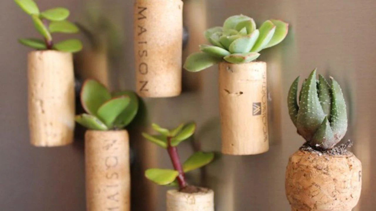 Si tenés corchos en tu casa, tenés un tesoro: 14 ideas creativas para  reciclar, image size:1280x720