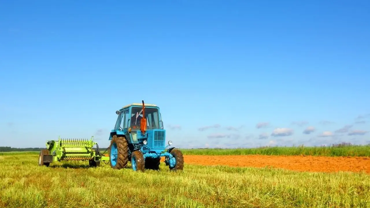 Perspectivas del agro argentino: cosecha, impuestos a la exportación y tipo de cambio para el campo