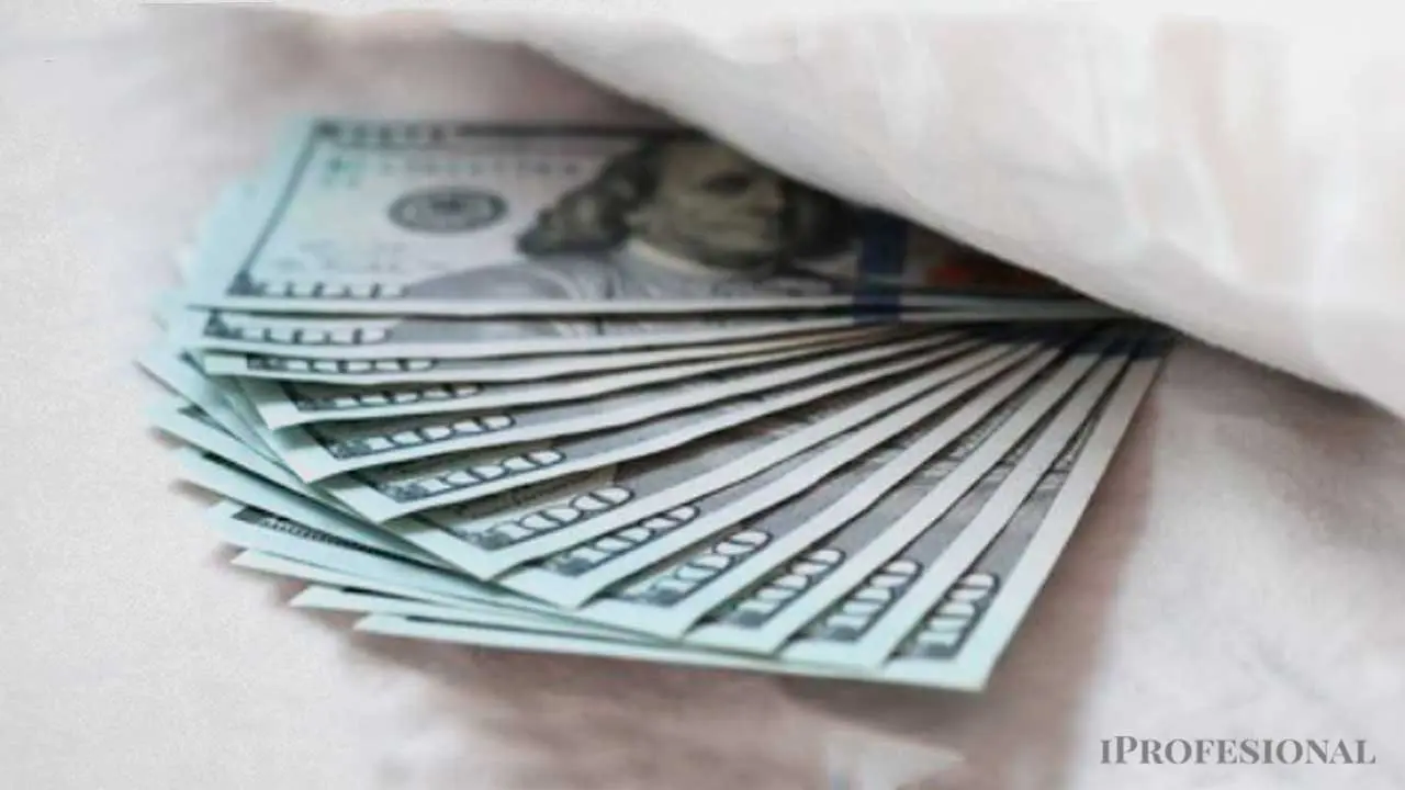 Argentinos mantienen u$s262.014 millones fuera del sistema
