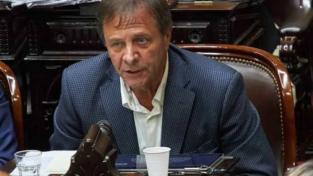 Zago, diputado exlibertario: Adorni se tiene que ir solo, no hay que removerlo