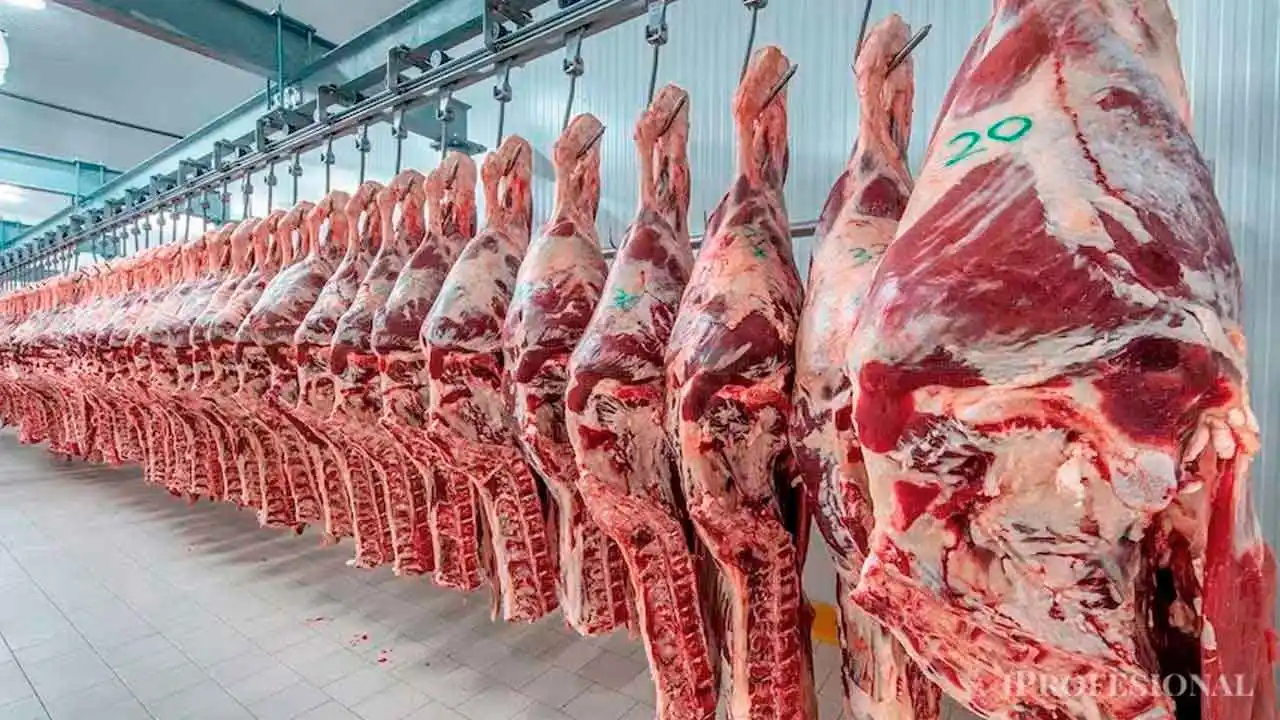 La carne a $10.000 y el precio que paga el bolsillo