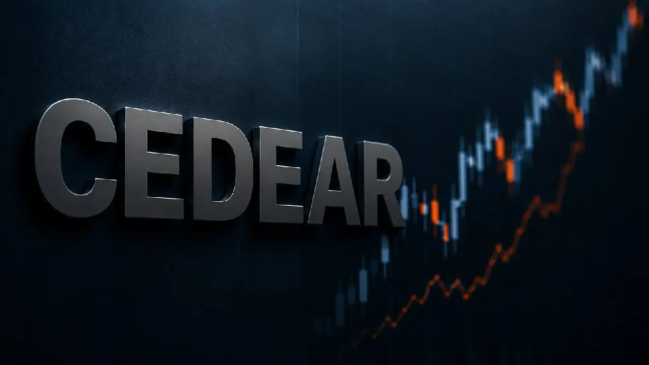 Broker revela su estrategia para invertir $1 mill�n en 9 CEDEARs con mucho potencial