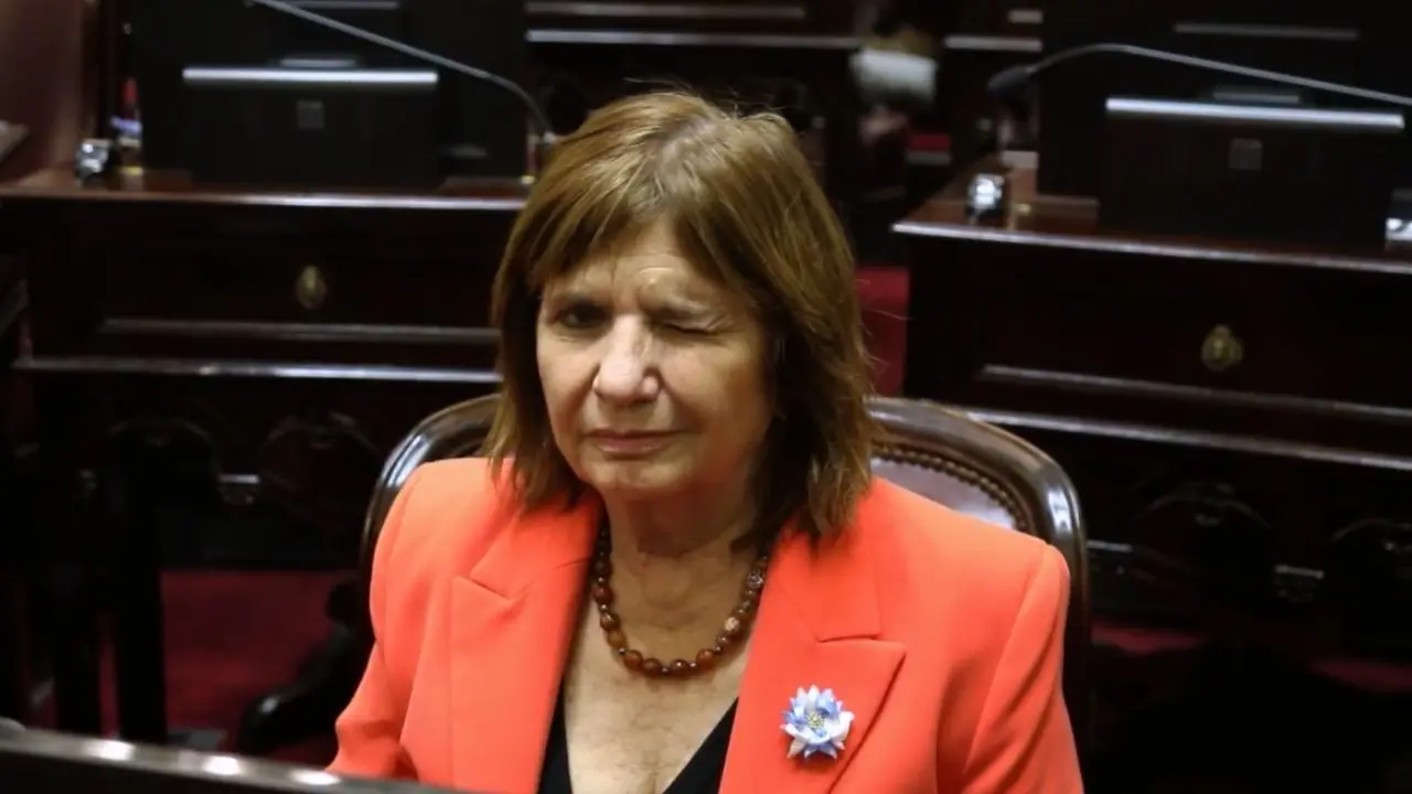 La jugada de Bullrich en el Senado para bloquear el voto a distancia de Anabel Fern�ndez Sagasti