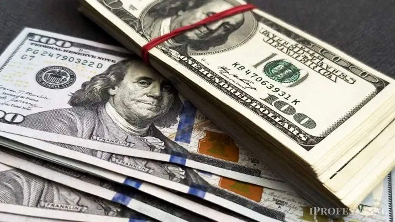 Ahorristas compraron u$s2.400 M en junio pero Caputo celebra que entran m�s d�lares de los que salen